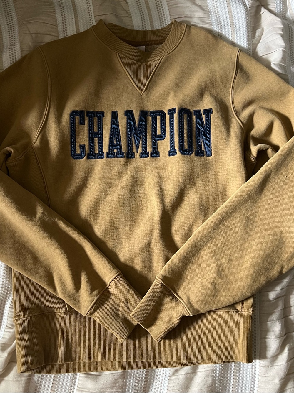 Champion Men's Crewneck Sweatshirt